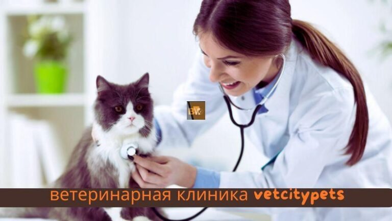 ветеринарная клиника vetcitypets